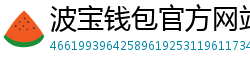 波宝钱包官方网站下载入口